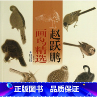 [正版]赵跃鹏画鸟精选