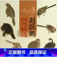 [正版]赵跃鹏画鸟精选