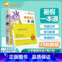 暑假提分·[语数英]套装 三升四 [正版]24秋新版暑假一本通 语文数学英语1升2升3升4升5升6暑假衔接训练 暑假作业