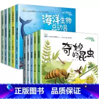 全套10册 大自然的奥秘 第①+②辑 [正版]小果树 幼儿园科学类绘本3一6岁 中班阅读大班幼儿科普书籍儿童绘本故事书学