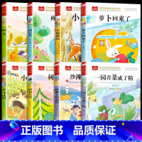 一二年级阅读课外书 全套8册 [正版]全套4册 一年级阅读课外书注音版 萝卜回来了一园青菜成了精小鹿斑比小马过河注音版