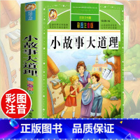 小故事大道理(彩图注音版) [正版]小故事大道理大全集注音版 一年级阅读课外书籍适合二三年级看的故事书带拼音儿童读物 小