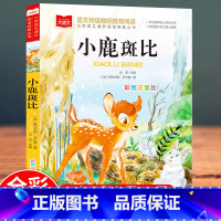 小鹿斑比 [正版]小鹿斑比彩图注音版语文阅读 一年级二年级三年级课外阅读书籍绘本 6-7-8岁儿童文学动画故事小学生亲子