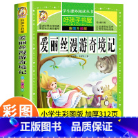 [正版]爱丽丝漫游奇境记 彩图升级版小学生课外书读物一二年级三四五阅读故事书籍8-9-10-12-15岁 青少年版爱丽