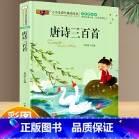 唐诗三百首 [正版]唐诗三百首全集 古诗书三百首幼儿早教 幼儿园小学生一二三年级课外书籍3-5-6-7-10岁儿童文学带