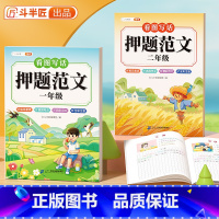 看图写话押题范文/单本 小学一年级 [正版]看图写话一二年级押题范文大全一年级二年级上册人教版每日一练专项训练作文素材小