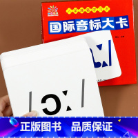 国际音标大卡 [正版]2025版英语48个国际音标卡 儿童小学生初中英文教学教具学习思维导图速记英语单词卡600词自然拼