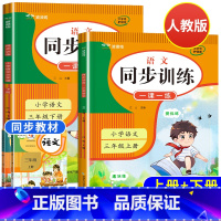同步训练册(语文)上下册 小学三年级 [正版]2024新 三年级语文同步练习册上册下册人教版 小学语文3语文专项同步训练