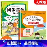 2册:语文+英语同步练字帖 五年级下 [正版]五年级下册同步练字帖人教版PEP 语文英语字帖 硬笔书法钢笔字贴每日一练正