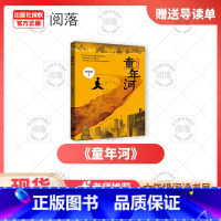《童年河》+导读单 [正版]童年河美绘升级版安徽少年儿童出版社赵丽宏著