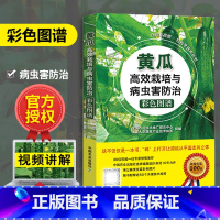 [正版]赠视频黄瓜高效栽培与病虫害防治彩色图谱无公害栽培新技术种植大全书籍国家大宗蔬菜产业技术体系 种植农业