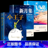 [3册]小王子+新月集+飞鸟集 [正版]小王子书籍珍藏版彩图完整无删减版圣埃克苏佩里原著全本全译经典童话故事书世界名著中