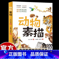 动物素描 [正版]名家动物素描书五年级必读课外书法国布封博物笔记智慧科普类读物优美文学珍品小学生课外阅读书籍上册儿童文学