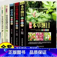 [全5册]中草药基础书籍 [正版]中医中草药书籍5册 本草纲目 中国药典原色图谱中草药彩图大全书李时珍全集彩图精装图解全
