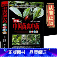 [正版]精编中国药典中药原色图谱精装选材常见贴近生活实用强中国药典中药材及混伪品彩色图谱中草药彩色图鉴大全集