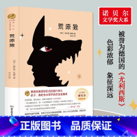 [精装版]荒原狼 [正版]荒原狼 (瑞士)赫尔曼·黑塞书籍小说北京理工大学出版社1946年诺贝尔文学奖书系 德国浪漫派独