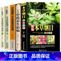 [正版]中医中草药书籍5册 精编本草纲目 中草药彩图大全 中药养生治病 中草药配对与禁忌中草药鉴别与应用零基础学医养生