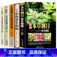 [正版]中医中草药书籍5册 精编本草纲目 中草药彩图大全 中药养生治病 中草药配对与禁忌中草药鉴别与应用零基础学医养生