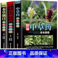 [正版]全3册精编中草药+本草纲目+中国药典中药原色图谱 中草药全图鉴速查手册图谱中国药材图鉴大全常用中草药识别应用中