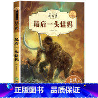 最后一头猛犸 [正版]全12册 沈石溪动物小说大王全集套装珍藏版 适合小学生三四五六年级读物课外书必老师推课外阅读书籍荐