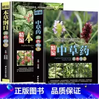[正版]全2册精编中草药+本草纲目原色图谱中草药全图鉴速查手册图谱中国药材图鉴大全常用中草药识别应用原色图片中医学书籍