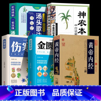 [全五册]经典中医名著 [正版]全五册经典中医名著 黄帝内经金匮要略伤寒论神农本草经汤头歌诀 中医五大经典名著自学中医入