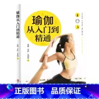 瑜伽 从入门到精通 [正版]彩色图解版瑜伽从入门到精通 零基础瑜伽书瑜伽教程脸部瑜伽全彩珍藏 瘦身减肥初学者塑身健身瑜伽
