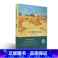 [正版]精装全译少年维特的烦恼 歌德 经典文学名著书籍青少年版初中学生阅读的课外书读物 书籍排行榜CD