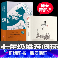 [正版]2本海底两万里和骆驼祥子老舍原著完整版语文七年级下册阅读小学版初中版初中生必读