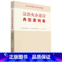 [正版]法治央企建设典型案例集