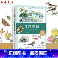 自然笔记 [正版]自然笔记(开启奇妙的自然探索之旅全新增订版)芮东莉 原创自然笔记开山之作第九文津图书奖届自然教育科普知