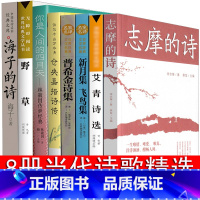 [正版]现代诗歌精选8册诗歌集经典书籍海子的诗林徽因诗集徐志摩诗爱情泰戈尔诗选艾青郭沫若普希金新月集飞鸟集再别康桥 中