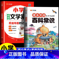 [2册]小学必背百科常识+文学常识 小学通用 [正版]2024小学生百科常识+文学常识提素养拓视野科学知识通用人教版小学