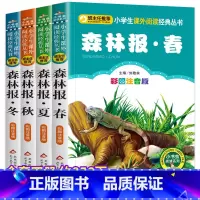 [全套4册]森林报(春夏秋冬) [正版]森林报全集系列注音版 春夏秋冬全四册带彩图拼音版一年级阅读课外书必读儿童绘本故事
