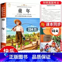 [正版]童年高尔基 童年书 快乐读书吧六年级必读课外书 6年级上学期暑假阅读书目 人教版的故事乐读吧 同年书籍 暑期作