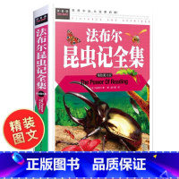 [正版]法布尔昆虫记常春藤 小学生 三四年级 小学生课外书 精装图文版 课外书必读 儿童全集初中生美绘学校硬壳