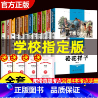[正版]初中生必读课外书名著读物全套十二本骆驼祥子七年级原著海底两万里朝花夕拾西游记水浒传傅雷家书中学生阅读的书籍上册