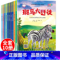 [正版]精装硬壳儿童绘本3一4-5-6-8岁幼儿园适合大班三至四幼儿阅读的硬皮昆虫相关科普故事书读物五到六岁孩子看小班