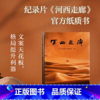 [正版]河西走廊书 纪录片纸质书 陆上丝绸之路彩图历史讲解旅游攻略指南文化敦煌壁画故事莫高窟中国西部历史人文自然书籍