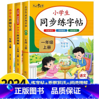 [3册]看图写话+阅读理解+练字帖 二年级上 [正版]看图写话和阅读理解一二年级上册练字帖专项训练看图说话写话每日一练人