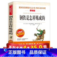 [正版]系列4本35钢铁是怎样炼成的初中原著 初中生八年级课外书必读 人教版下册经典书目儿童读物小学生阅读书籍 怎么练