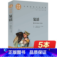 [正版]复活 复活书 原著 名家名译 世界文学名著书籍 全套经典原著外国 书高中生中学生课外必读小说原版读物小学生