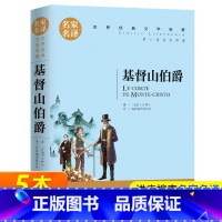 [正版]基督山伯爵 名家名译 世界文学名著书籍 全套经典原著外国 书初高中生阅读中学生课外必读小说原版读物小学生