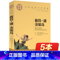 [正版]金银岛 书免邮 彼得.潘 五年级课外书必读小学生史蒂文森 小飞侠彼得·潘 世界文学名著书籍 全套经典原著外国