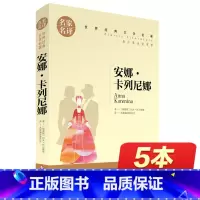 [正版]名家名译 安娜·卡列尼娜原著 世界名著中文9-10-12-15周岁初中学生中 安娜卡列尼娜书完整版 课外书必