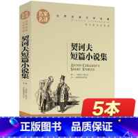[正版]契诃夫短篇小说选 名家名译 契科夫国际大奖精选 世界文学名著书籍 全套经典原著外国 书高中生中学生课外必读