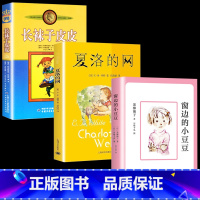 [正版]长袜子皮皮三年级必读经典书目四年级五全套3册夏洛的网小学 窗边的小豆豆南海出版社6-12岁课外阅读故事书非注音