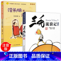 [正版]全套2册 三毛流浪记全集注音版二年级一年级故事书张乐平书没头脑和不高兴任溶溶 小学生必读课外书籍 带拼音经典儿