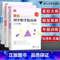 初中数学提高班七八九年级(3本) [正版]浙大优学新编初中数学提高班七八九年级马茂年主编 初中数学知识大全基础知识789