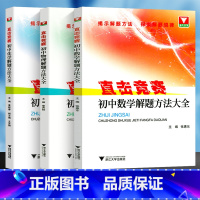 初中数学物理化学解题方法大全(3本) [正版]直击竞赛 初中数学物理化学解题方法大全 初一初二初三中考竞赛题 初中理科数